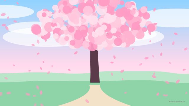 Anime tapety: Rozkvetlá sakura (PC)